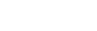 FLIGHTFORM INSIGHTS